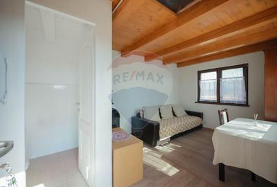 Casă cu 3 camere cu Teren 889 Mp în Păușa - 7