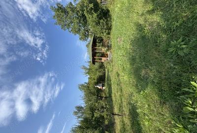 Proprietar, vand Casa Cornu de Jos, Prahova - 10