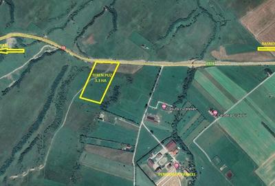 Teren superb cu PUZ in zona Panicel Rasnov spre Bran - 1