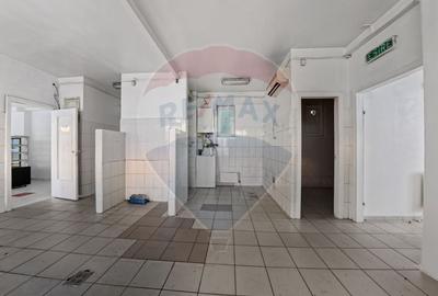 Cladire individuala 243 mp de inchiriat pe strada Mioritei - 8