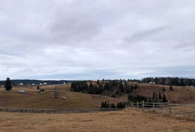 Spațiu comercial, în Măguri - 3