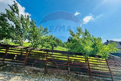 Teren 1,600mp Sighetu Marmatiei / Strada Doboies - 3