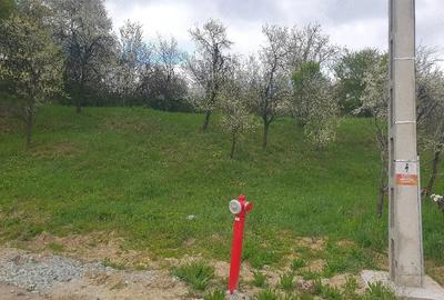 Teren de 1600 mp, în Groși - 2