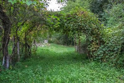 Vand TEREN ?i casa in satul Costeni, comuna Tismana, jude?ul Gorj. - 2