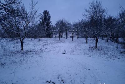 Teren de 5950 mp, în Scorțeni - 9