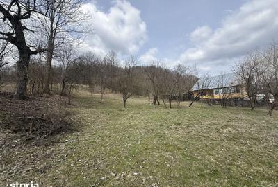 Teren de 6040 mp, în Provița de Jos - 6
