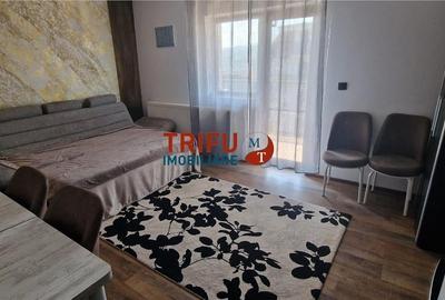 Apartament în Dealul Furcilor de închiriatriat - 3