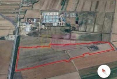 Teren 40ha Adunatii Copaceni | Industrial/ Logistic - 9