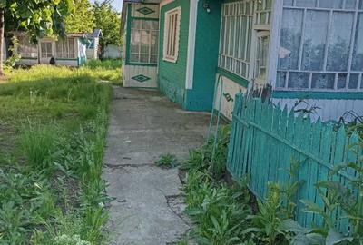 Casă cu 3 camere în Țuțora - 4