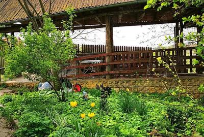 Com. Ileana - Calarasi, 4000 mp. teren si casa de vacanta cu deschidere la Balta - 3