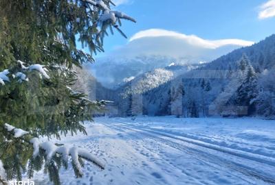 Spațiu comercial, în Central - 10