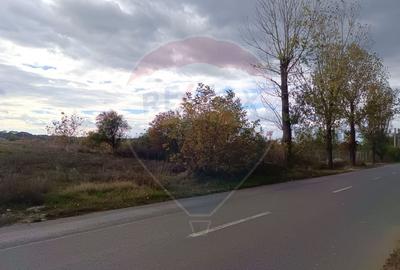 Teren Construcții intravilan de 2056 mp, în Ciolpani - 7