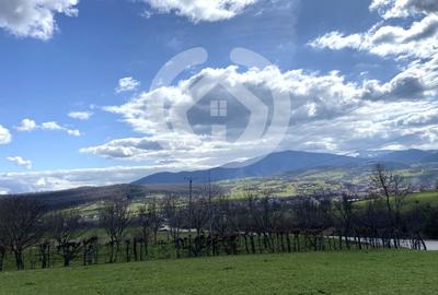 Teren agricol extravilan de 1494 mp, în Rășinari - 3