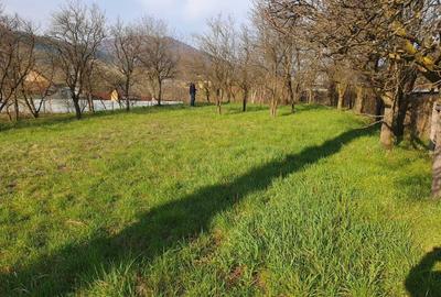 Teren de 1800 mp, în Viișoara - 1