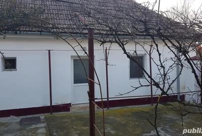 Casa de vanzare , judetul timis Casa de vanzare , judetul timis - 3