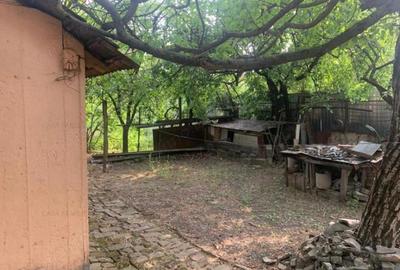 Casă cu 3 camere cu Teren 860 Mp în Aradului - 3