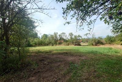 Casă individuală cu 2 camere cu Teren 9223 Mp în Baia de Criș - 11