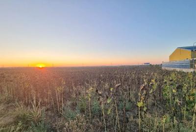 Teren agricol extravilan de 10000 mp, în Limanu - 3