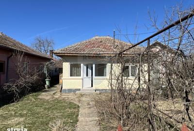 Casă cu 2 camere cu Teren 1192 Mp în Gruiu - 5
