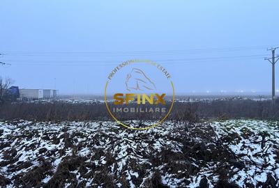 Teren Construcții intravilan de 14500 mp, în Bolintin-Deal - 2