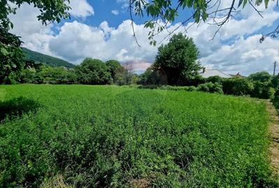 Teren intravilan 1000 mp Vii?oara, utilita?i - 11