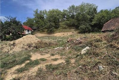 Teren intravilan pentru investitie turistica, 4000 mp, langa Club Vila Bran cu p - 5