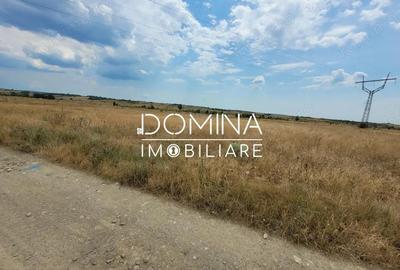 Teren de 2622 mp, în Centura - 1