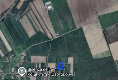 Spațiu comercial, în Iosif - 1