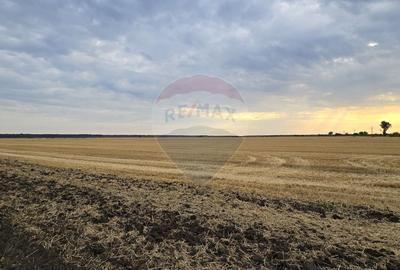 Teren Construcții intravilan de 11200 mp, în Nord-Est - 2