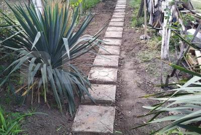 Casă cu 3 camere cu Teren 900 Mp în Elisabetin - 2