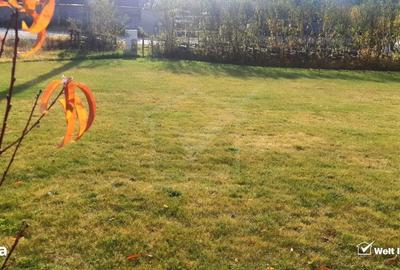 Teren de 700 mp, în Ciurila - 2