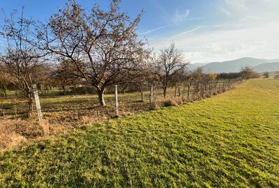 Teren de 2000 mp, în Rășinari