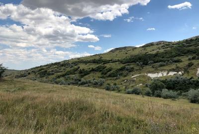 Teren de 500000 mp, în Valea Călugărească - 10