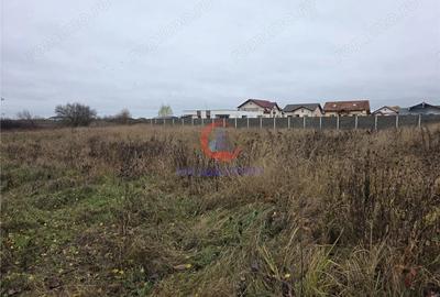 Teren de 759 mp, în Albina - 1