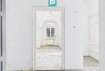 Vilă deosebită cu caracter istoric în Periam Vilă deosebită cu caracter istoric în Periam - 5