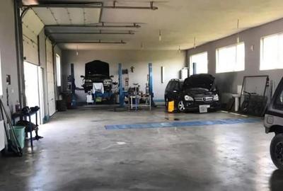 Ofer spre inchiriere servis autorizat rar . - 9