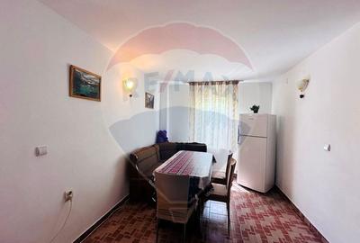 Pensiune + Vila pe malul raului Lotru-Malaia,Valcea - 8