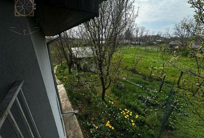 Casa/Villa Frumusani - Teren 1000 mp - - 28