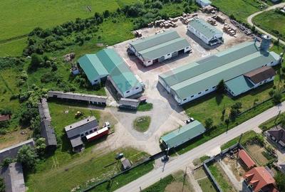 Hale de vanzare-ideale pentru depozit sau productie - 16