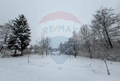 Teren de 4193 mp, în Breb - 1