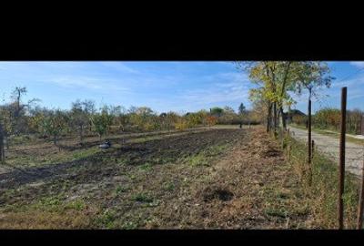 Teren intravilan 1565mp - 5