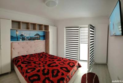 Apartament cu 2 camere decomandat, mobilat în Alexandru cel Bun - 2