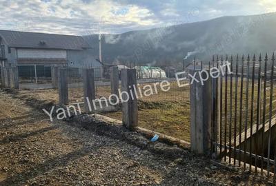 Teren de vanzare in comuna Baicule?ti, sat Tutana, jude? Arge?. - 5