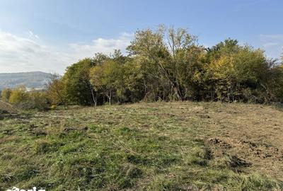 Teren de 1521 mp, în Băiculești - 3