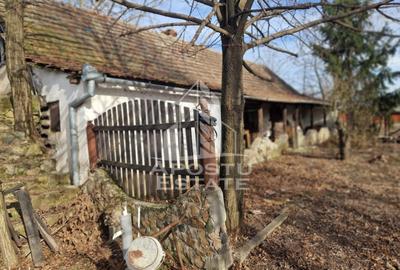 Casa individuala cu 3 camere ,teren 4222 mp in exclusivitate Dorobanti - 1