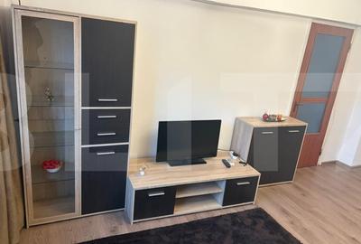 Apartament cu 2 camere semidecomandat, mobilat în Gorjului - 3