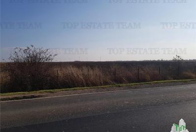 Teren extravilan - Braila - E584 - vanzare