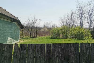 Casă cu 2 camere în Avrămeni - 5