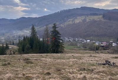 Teren de 1000 mp, în Mălini - 2