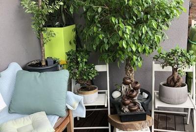 2 camere Tineretului - The Park - Loc de parcare - Terasă 69 mp - 10